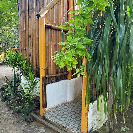 Georgia'S Neverland Hostel لوغون المظهر الخارجي الصورة
