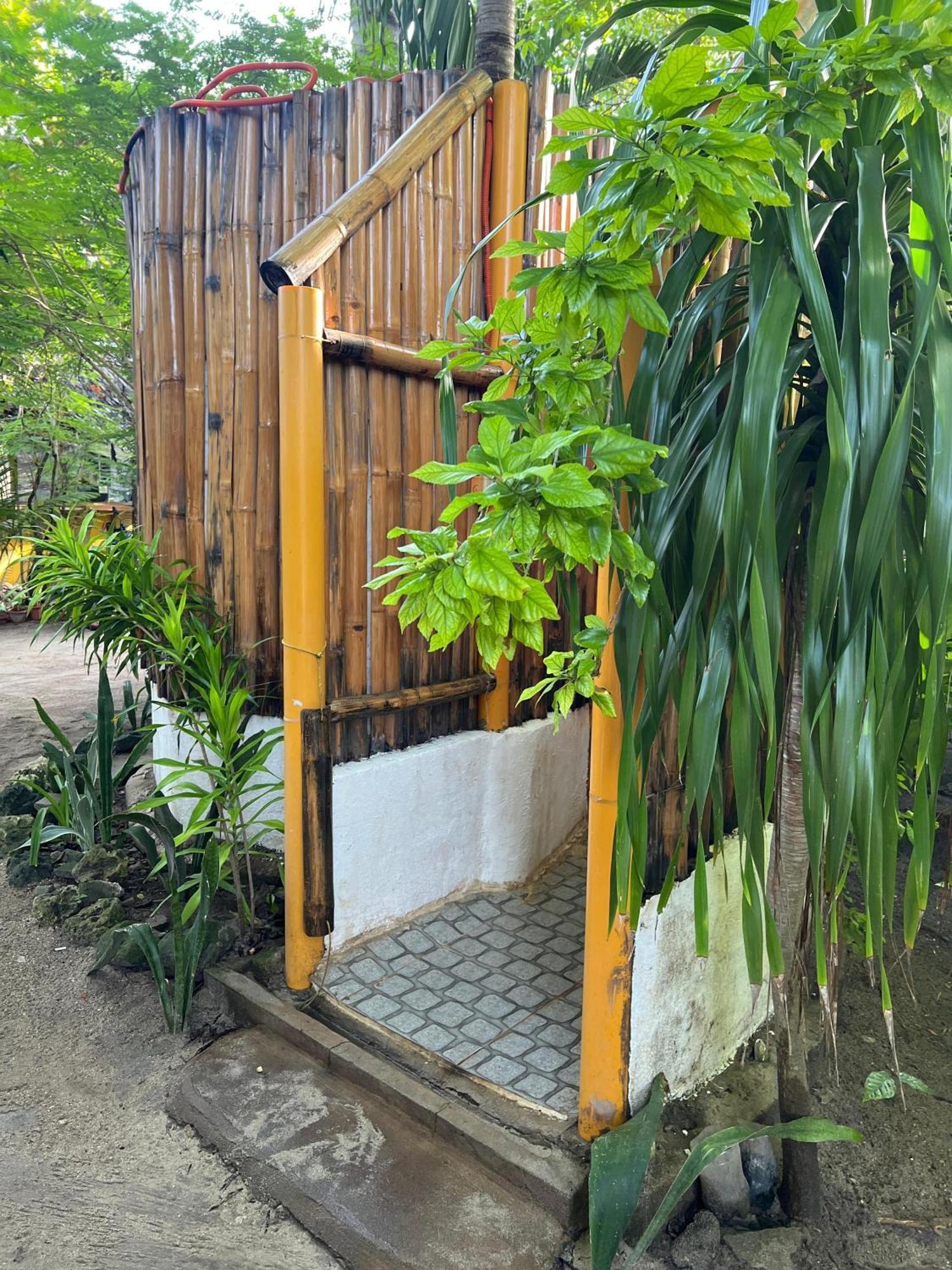 Georgia'S Neverland Hostel لوغون المظهر الخارجي الصورة